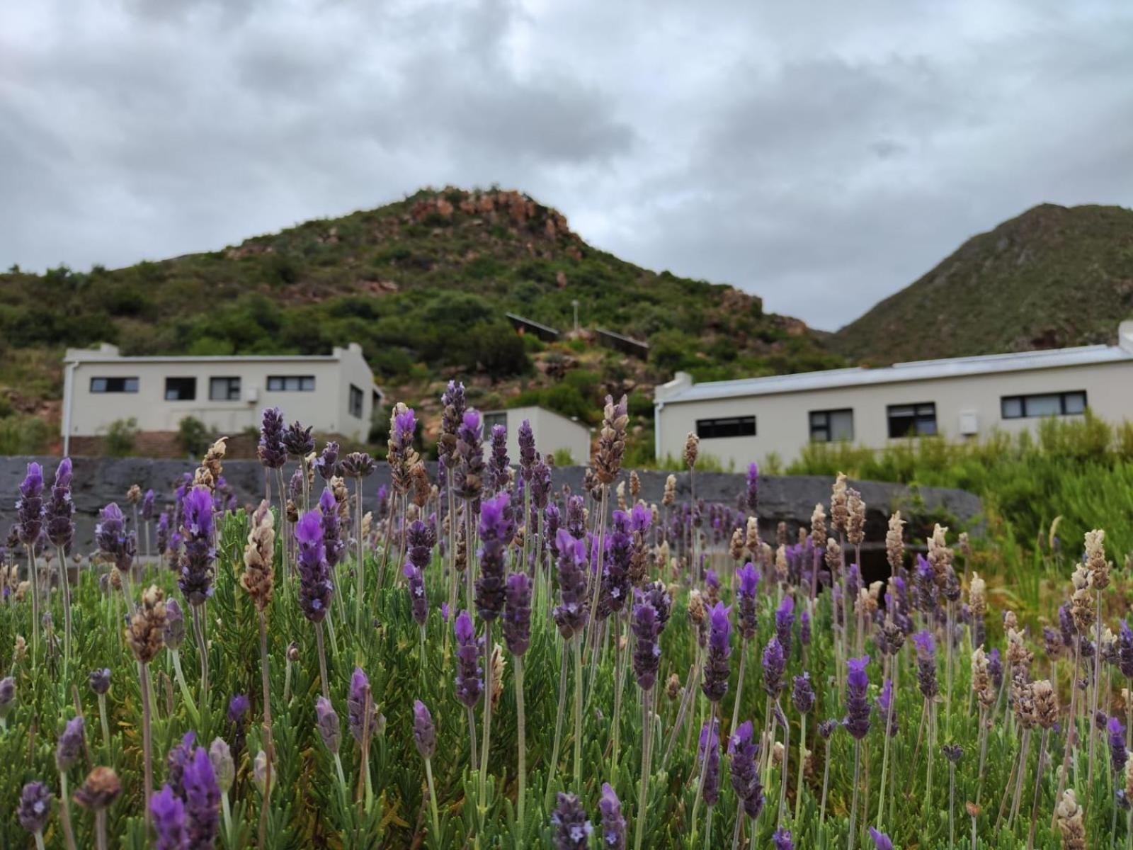 Apartamento Roodekloof Montagu Exterior foto